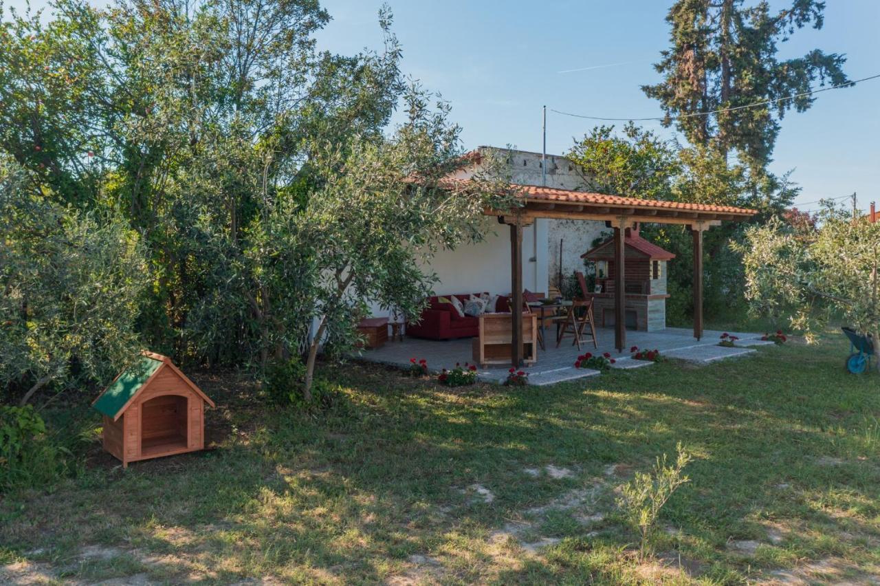 Clio Beach House By Travel Pro Services - Metochi Halkidiki Σωζόπολη Εξωτερικό φωτογραφία